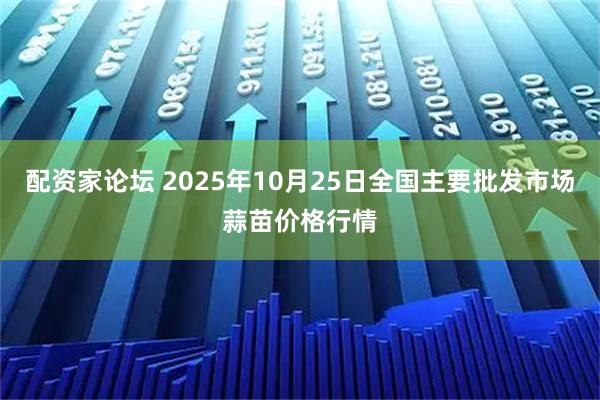 配资家论坛 2025年10月25日全国主要批发市场蒜苗价格行情