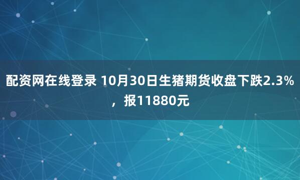 配资网在线登录 10月30日生猪期货收盘下跌2.3%,报11880元
